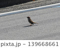 我ときて遊べや親のない雀 139668661