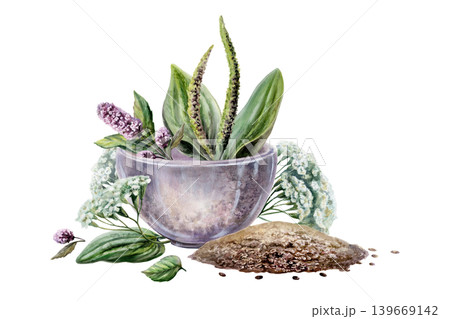 Plantain, yarrow, mint and dill seeds in mortar watercolor. Botanical illustration for digestive system medicine packaging, stomach health wellness tea branding, gastrological remedy design 139669142