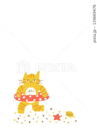 夏の砂浜を走る茶トラ猫　かわいい動物の夏素材 139669476