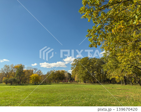 Wide Green Lawn Autumn Trees Clear Blue Sky 139670420