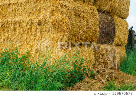 Large stack of golden straw bales on rural farm with fresh green grass in foreground, agricultural scene showcasing harvest season, countryside life Large stack of golden straw bales on rural farm with fresh green grass in foreground, agricultural scene showcasing harvest season, countryside life 139670678