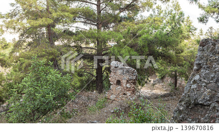 Fragment of ancient stone ruins surrounded by lush green pine trees in forest Fragment of ancient stone ruins surrounded by lush green pine trees in forest 139670816
