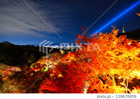 京都・清水寺の紅葉ライトアップ 139670856