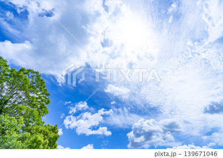 春の青空と雲と新緑 春の青空と雲と新緑 139671046