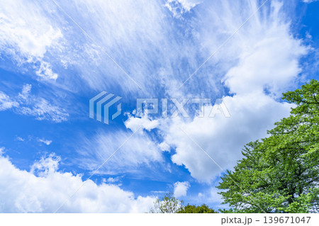 春の青空と雲と新緑 春の青空と雲と新緑 139671047