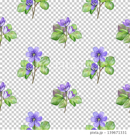Spring flowers. Watercolor seamless pattern with purple anemone hepatica flowers and green liverwort leaves. Perfect for fabric, wallpaper, packaging and stationery. Spring flowers. Watercolor seamless pattern with purple anemone hepatica flowers and green liverwort leaves. Perfect for fabric, wallpaper, packaging and stationery. 139671331