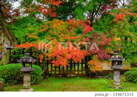 京都・十輪寺（なりひら寺） 左右の石灯籠と格子塀が引き立てる鮮やかな紅葉の風景 139671335