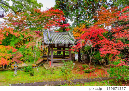 京都・十輪寺(なりひら寺) 鮮やかな紅葉に包まれた静寂漂う鐘楼の風景 京都・十輪寺(なりひら寺) 鮮やかな紅葉に包まれた静寂漂う鐘楼の風景 139671337