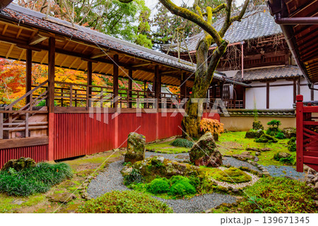京都・十輪寺(なりひら寺) 業平桜の古木と枯山水が織りなす本堂前の庭園風景 京都・十輪寺(なりひら寺) 業平桜の古木と枯山水が織りなす本堂前の庭園風景 139671345