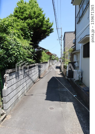 緑のある住宅街の路地（香川県高松市太田） 139671365