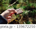 Man holding chocolate biscuit in forest. Outdoor snack break with blurred green nature background, food and relaxation concept 139672250
