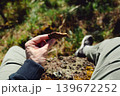 Man holding chocolate biscuit in forest. Outdoor snack break with blurred green nature background, food and relaxation concept 139672252