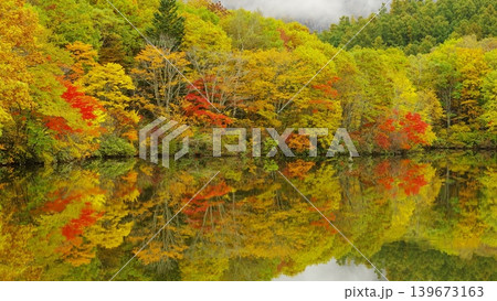 紅葉の戸隠 鏡池 紅葉の戸隠 鏡池 139673163