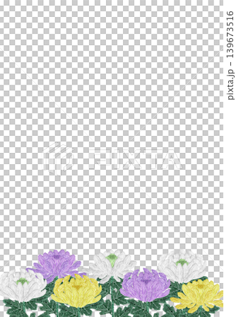 【菊の花の縦フレーム】手刺繍イラスト素材 【菊の花の縦フレーム】手刺繍イラスト素材 139673516