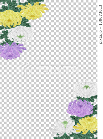 [Vertical frame of chrysanthemum flowers] Hand-embroidered illustration material 139673613