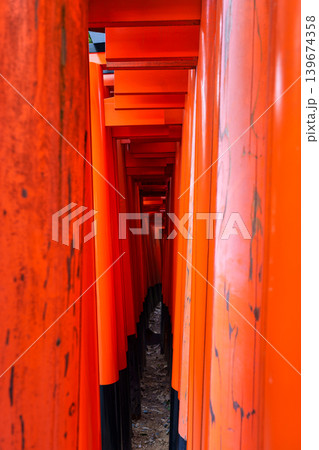 Holy tunnel of red torii gates lines the pathway at Fushimi Inari Taisha, Kyoto Holy tunnel of red torii gates lines the pathway at Fushimi Inari Taisha, Kyoto 139674358