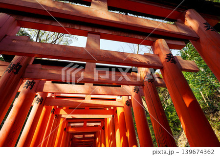Holy pathway of Torii gates at Fushimi Inari Shrine, Kyoto Holy pathway of Torii gates at Fushimi Inari Shrine, Kyoto 139674362
