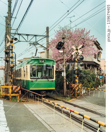 Randen train on railway with cherry blossom during spring at Kyoto 139674405