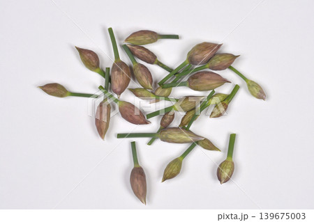 Chive Flower Buds on White Background 139675003