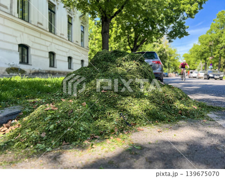 Heap of freshly cut grass and garden waste on a sunny residential street with trees, cyclist and parked cars. Urban landscaping and seasonal yard work concept Heap of freshly cut grass and garden waste on a sunny residential street with trees, cyclist and parked cars. Urban landscaping and seasonal yard work concept 139675070