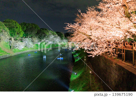 千鳥ヶ淵緑道の桜ライトアップ 千鳥ヶ淵緑道の桜ライトアップ 139675190