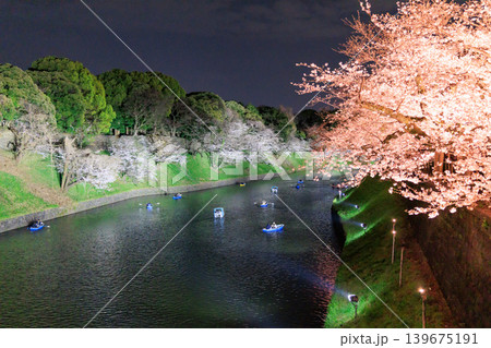 千鳥ヶ淵緑道の桜ライトアップ 千鳥ヶ淵緑道の桜ライトアップ 139675191