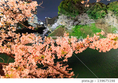千鳥ヶ淵の夜桜と水辺の都市風景 千鳥ヶ淵の夜桜と水辺の都市風景 139675198