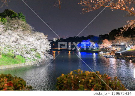 千鳥ヶ淵の夜桜と都心の春景色 139675434