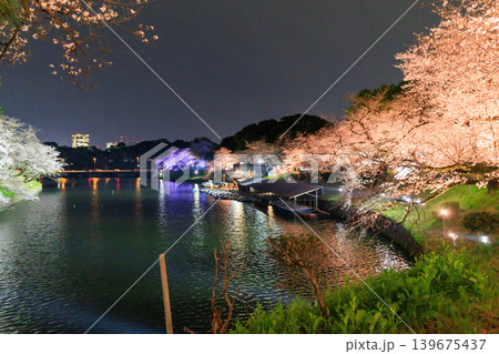 千鳥ヶ淵の夜桜とボート乗り場 139675437