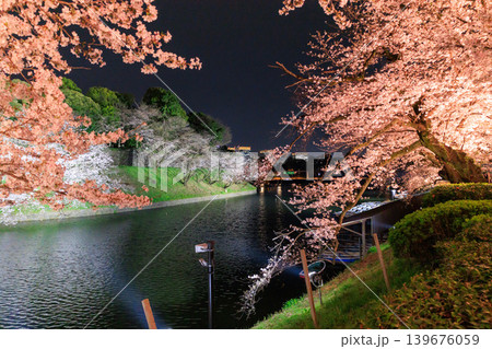 千鳥ヶ淵緑道の桜ライトアップ 千鳥ヶ淵緑道の桜ライトアップ 139676059