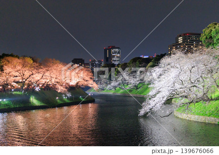 千鳥ヶ淵の夜桜と都心の春景色 千鳥ヶ淵の夜桜と都心の春景色 139676066