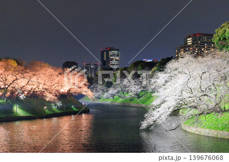 千鳥ヶ淵の夜桜と都心の春景色 139676068
