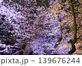 千鳥ヶ淵緑道の夜桜トンネル 139676244