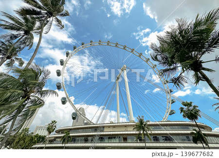 The giant Singapore Flyer Ferris wheel against a bright blue sky in the Marina Bay area, an iconic landmark 139677682