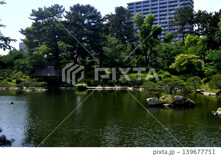 広島 縮景園 広島 縮景園 139677751