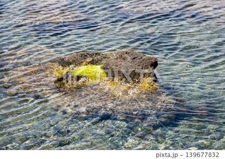 Vibrant green moss on black rock in clear ocean waters with rippling waves Vibrant green moss on black rock in clear ocean waters with rippling waves 139677832
