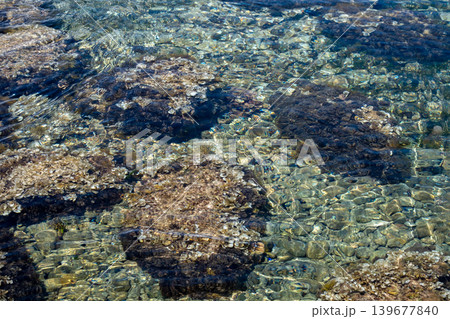 Clear water flowing over rocky riverbed with sunlit pebbles and algae Clear water flowing over rocky riverbed with sunlit pebbles and algae 139677840