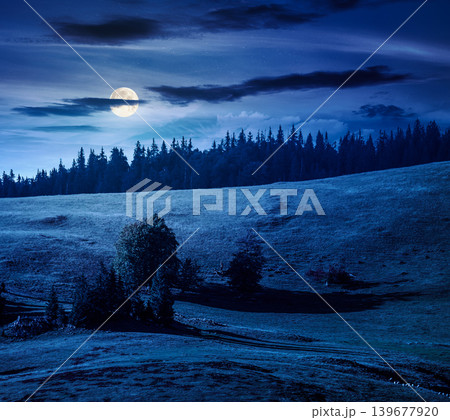 hillside of mountain range with coniferous forest and meadow at night. full moon over mysterious view of a grassy meadow on steep hill. nature background of apuseni natural park, romania 139677920