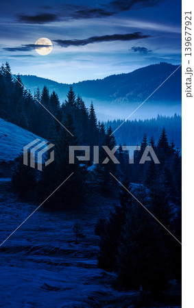 cold fog in the mountain valley at night. nature phenomenon over mysterious mountain landscape with coniferous forest. full moon over trees in misty nature background for halloween. view from a hill 139677921
