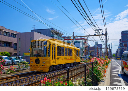 TODEN8501　TODEN　都電と満開のバラ　車両リニューアルプロジェクト 139678769
