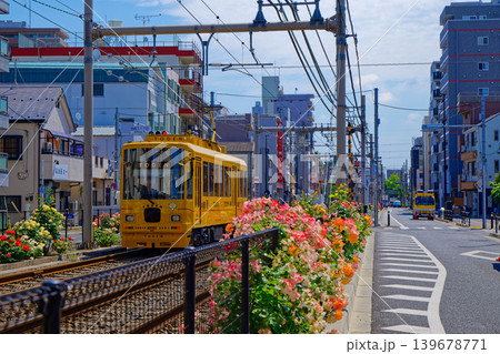 TODEN8501 TODEN 都電と満開のバラ 車両リニューアルプロジェクト TODEN8501 TODEN 都電と満開のバラ 車両リニューアルプロジェクト 139678771
