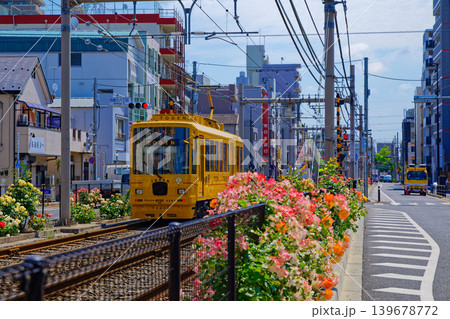 TODEN8501 TODEN 都電と満開のバラ 車両リニューアルプロジェクト TODEN8501 TODEN 都電と満開のバラ 車両リニューアルプロジェクト 139678772