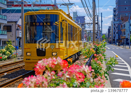 TODEN8501 TODEN 都電と満開のバラ 車両リニューアルプロジェクト TODEN8501 TODEN 都電と満開のバラ 車両リニューアルプロジェクト 139678777