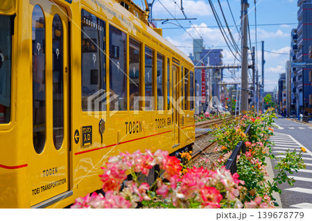 TODEN8501　TODEN　都電と満開のバラ　車両リニューアルプロジェクト 139678779