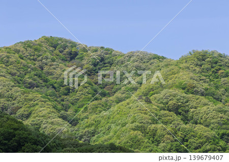 初夏の山並み　芽吹く若葉 139679407