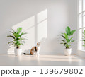 観葉植物と猫のナチュラルなミニマル室内 139679802