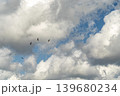 雲の広がる空を舞う鳶たち 139680234