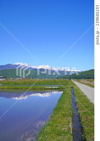 田植えシーズンの田んぼと北アルプス（長野県大町市） 139680283
