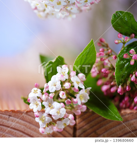 Flowers are arranged in a simple way on a wooden surface in a bright setting during springtime Flowers are arranged in a simple way on a wooden surface in a bright setting during springtime 139680660