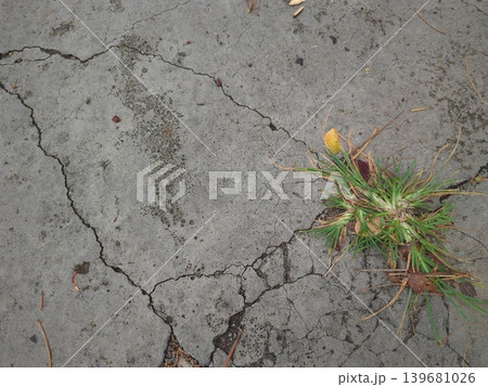 A cracked gray concrete surface with a tuft of green grass growing through a fissure. The rough, broken ground is contrasted by the resilient life of the plant. 139681026